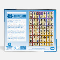 D6 Hero Puzzle